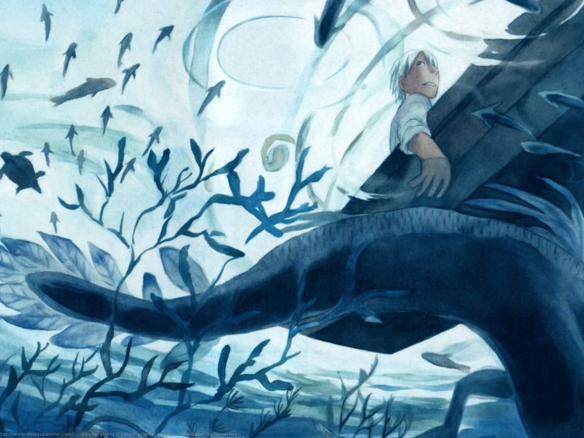 Мастер Муси