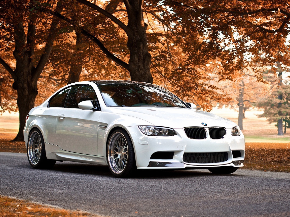 Белый BMW В осеннем парке
