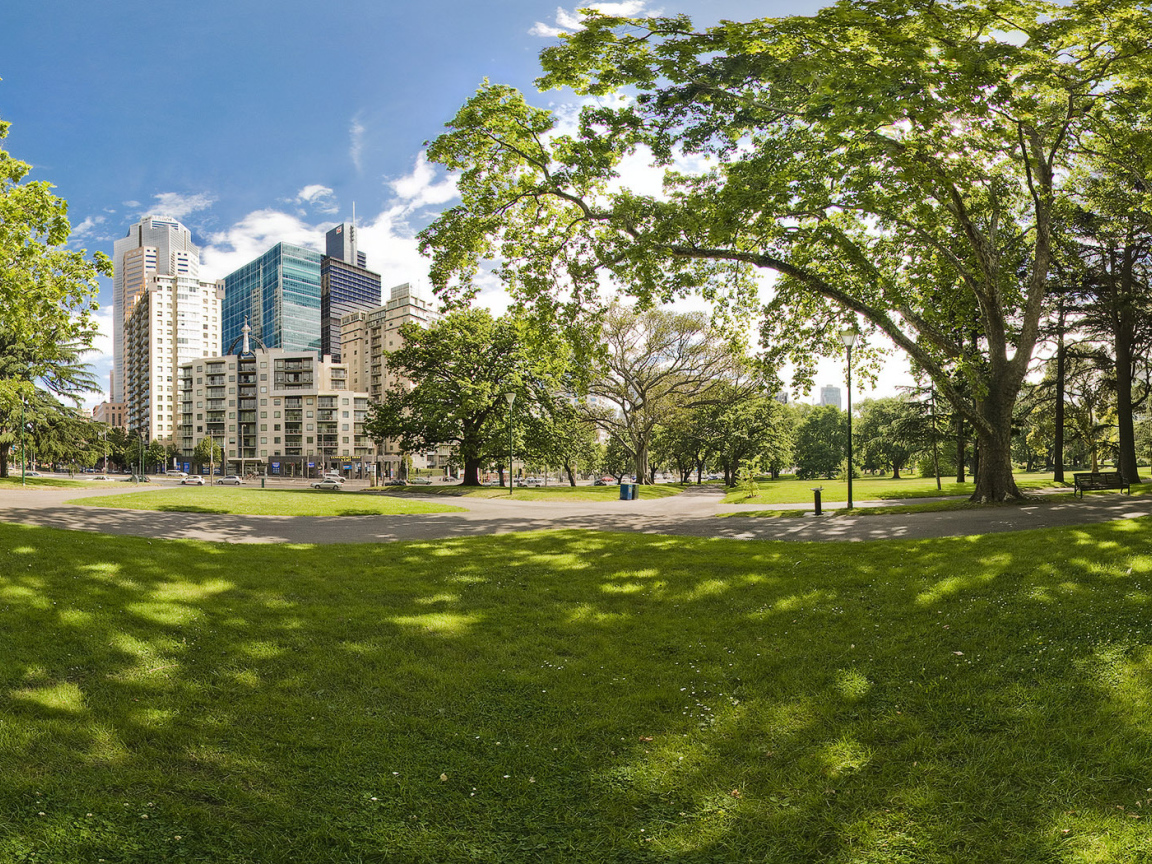 Городской парк летом