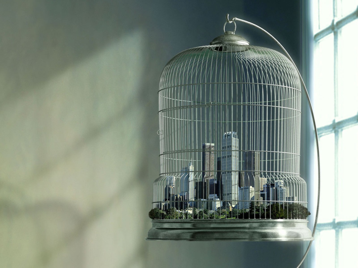 Город в клетке