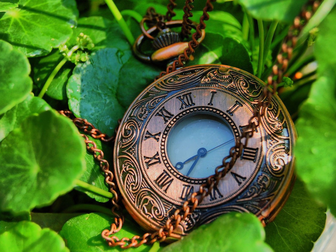 Карманные часы с цепочкой