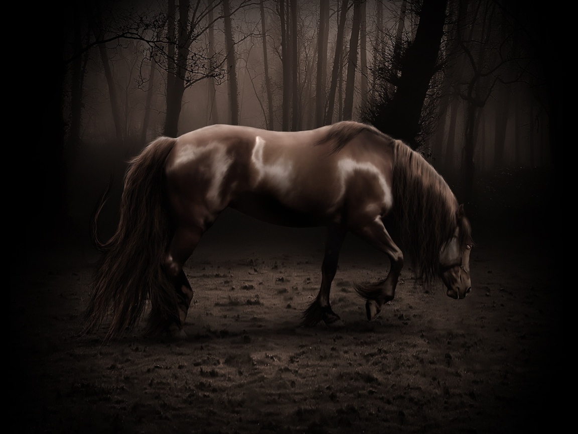 Старая лошадь