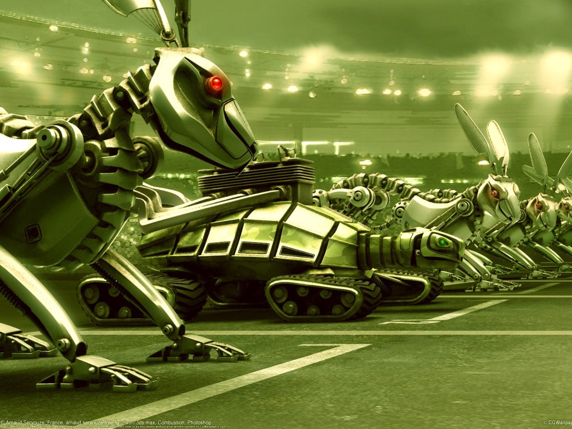 Гонка с черепахой