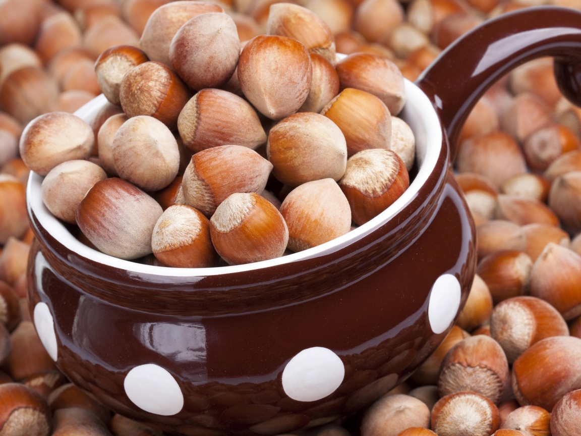 Лесные орешки