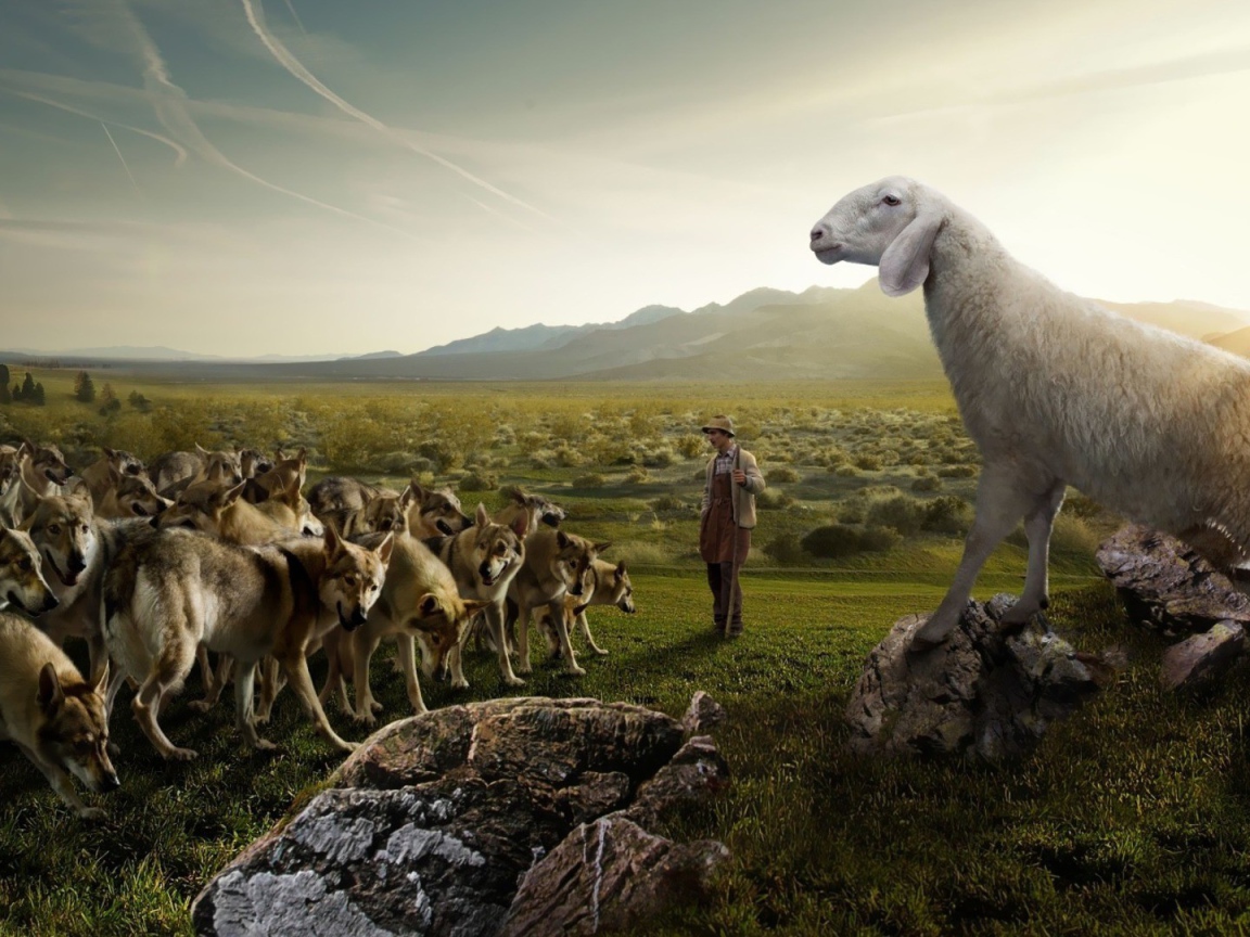 Волчий пастух