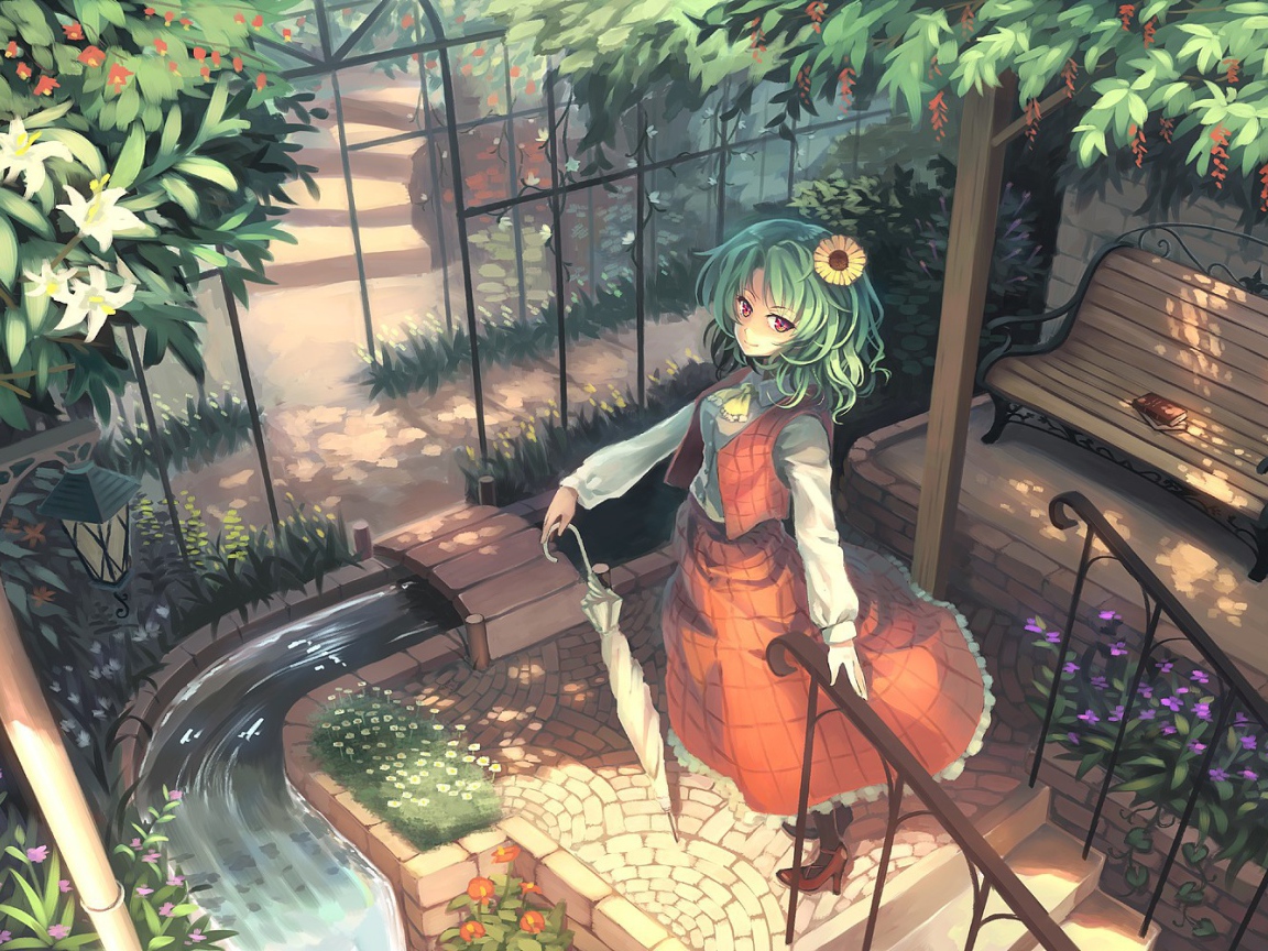 Видео игра вода Touhou