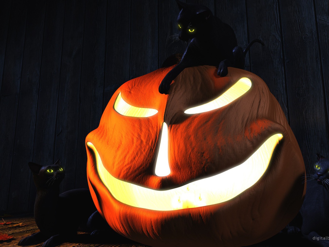 Три черных кота