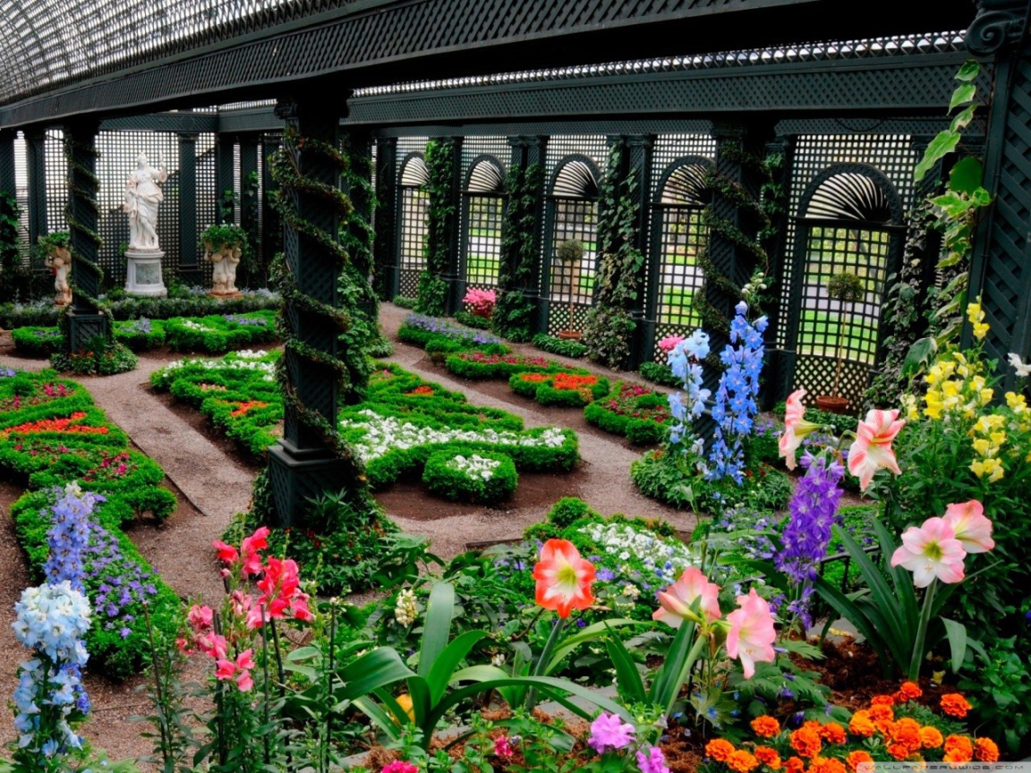 Зимний сад теплица