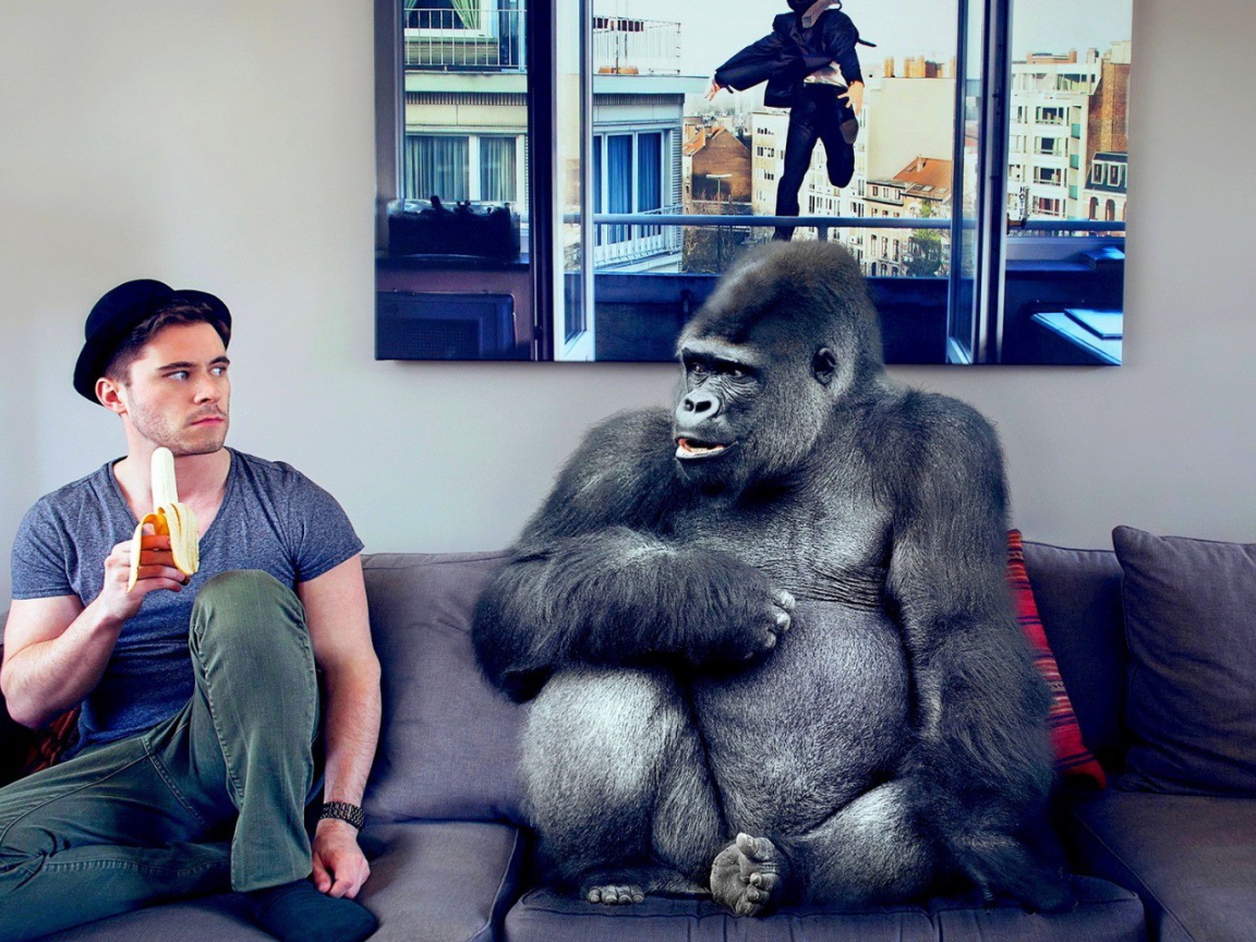 Давид Олкарни с обезьяной