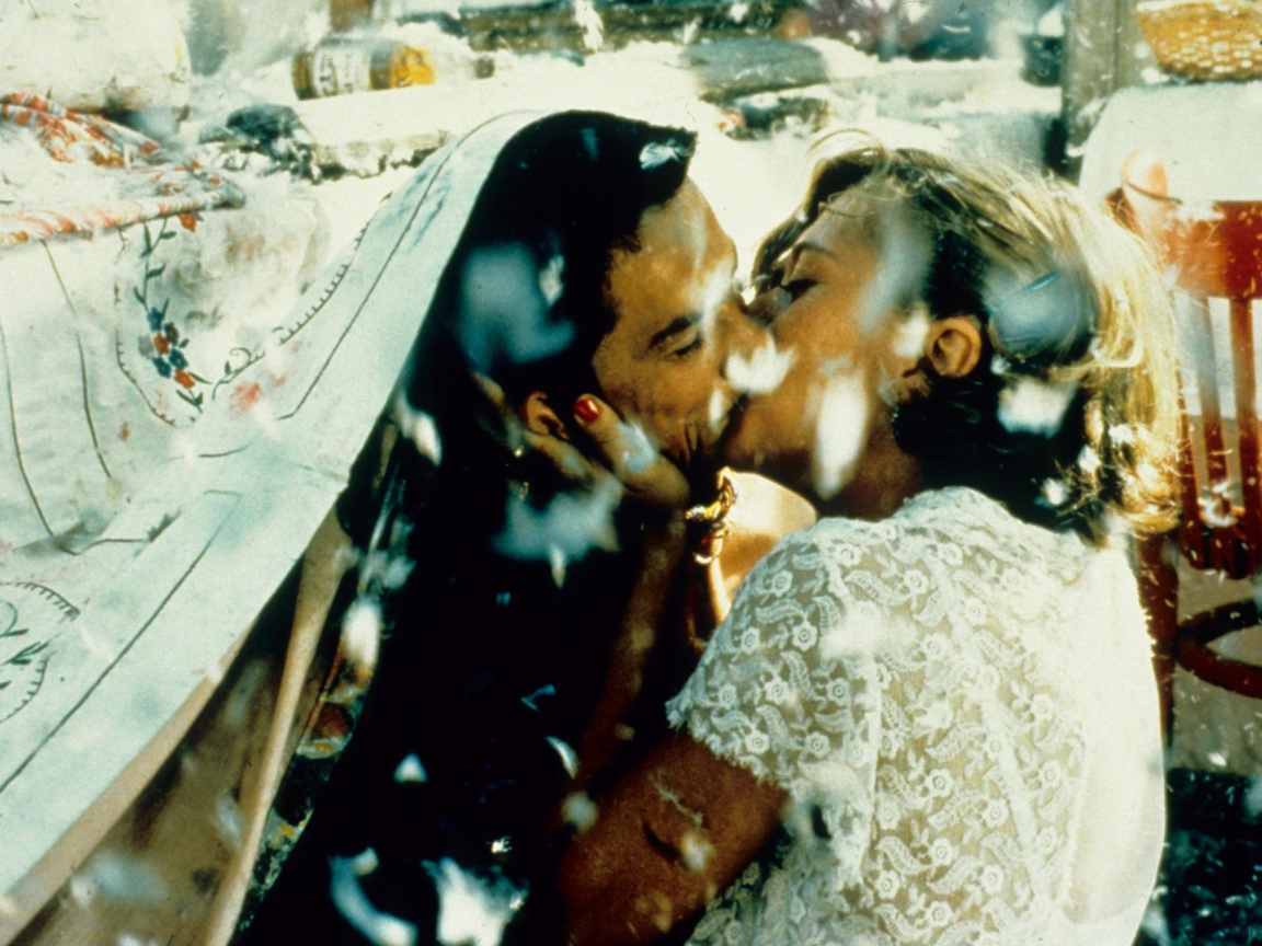 Чёрная кошка, белый кот