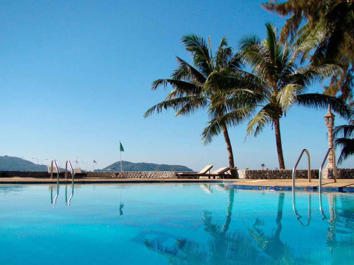 Бассейн и пальмы