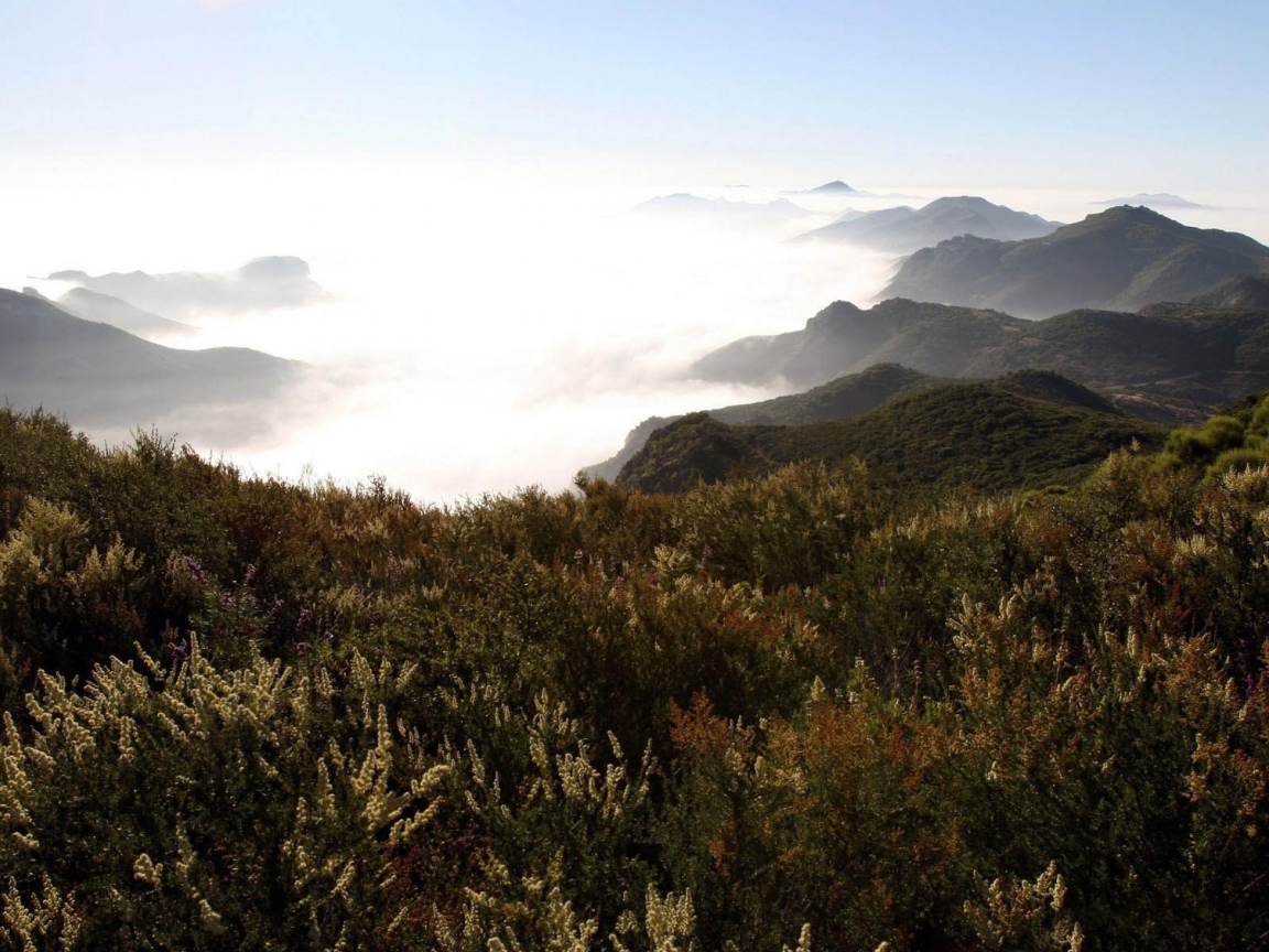 Горы в туманых облаках