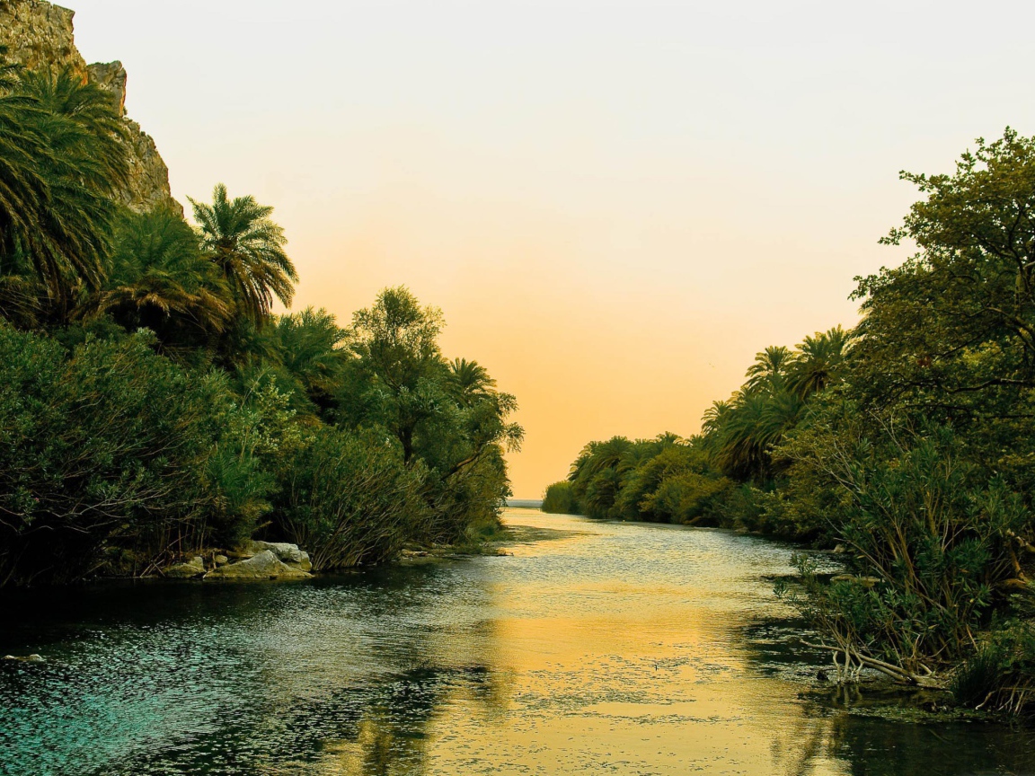 Река и пальмы