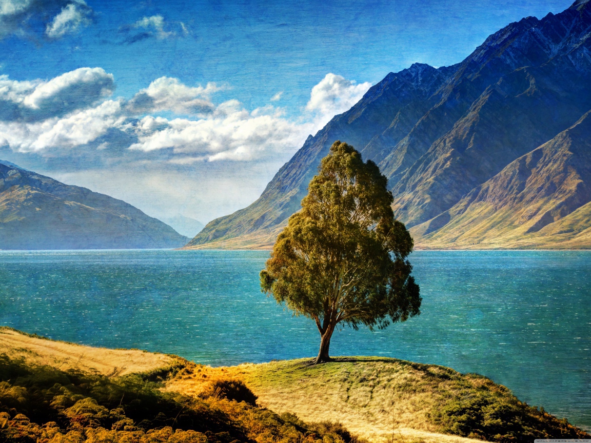 Дерево у озера