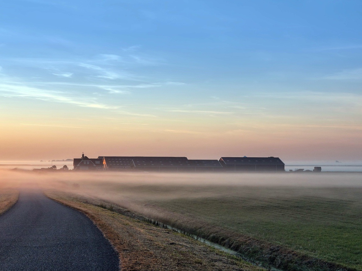 Раннее утро на поле