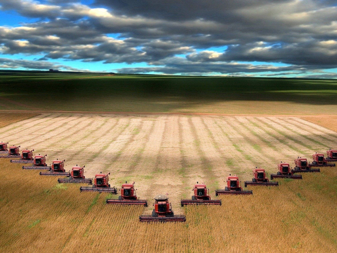 Уборка урожая