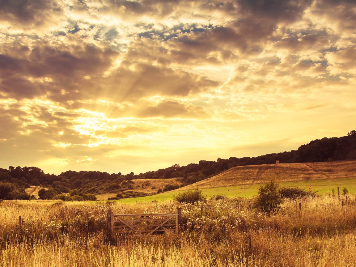 Закат на осеннем поле