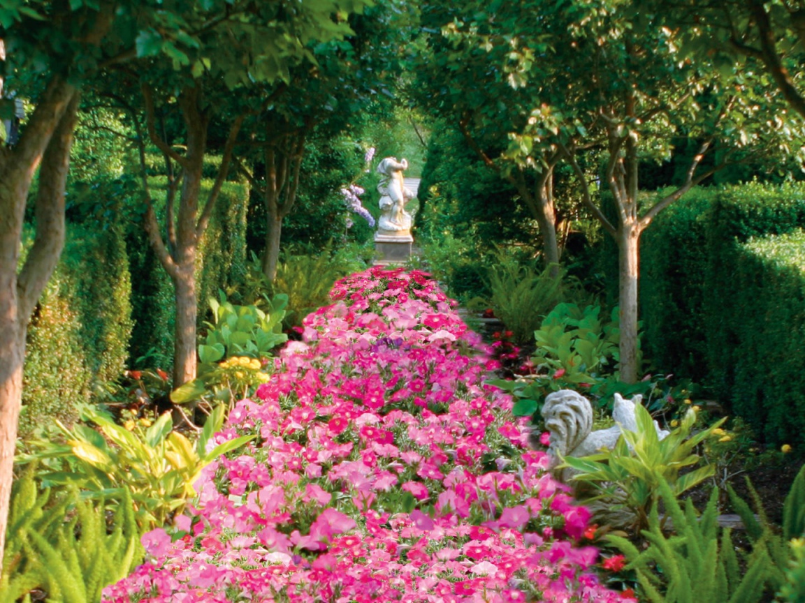 Аллея засаженная цветами