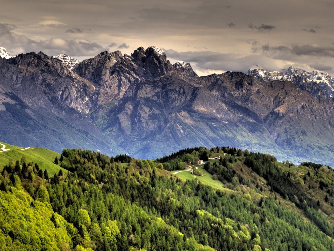 Горный пейзаж с дорогой и лесом