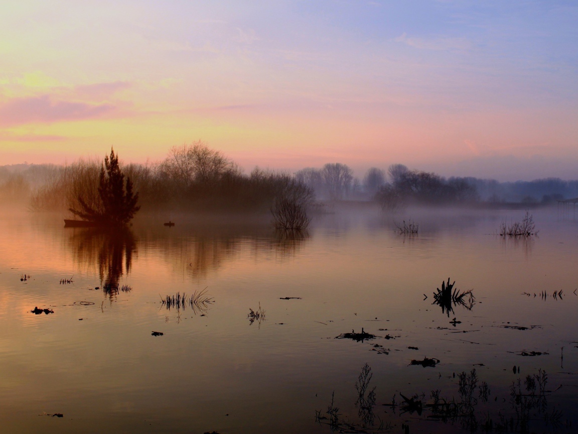 Туман над озером осенью