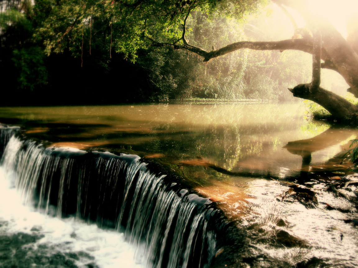 Заросшая река с водопадом
