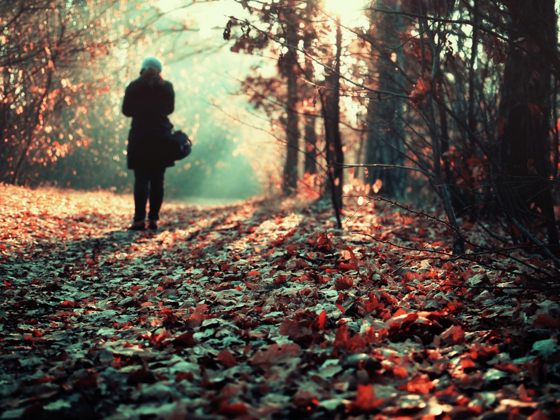 Прогулка в лесу осенью