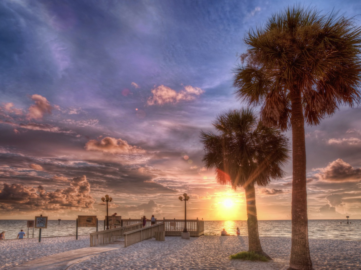 Закат на пляже с пальмами