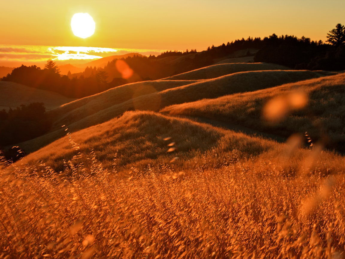 Закат в Калифорнии