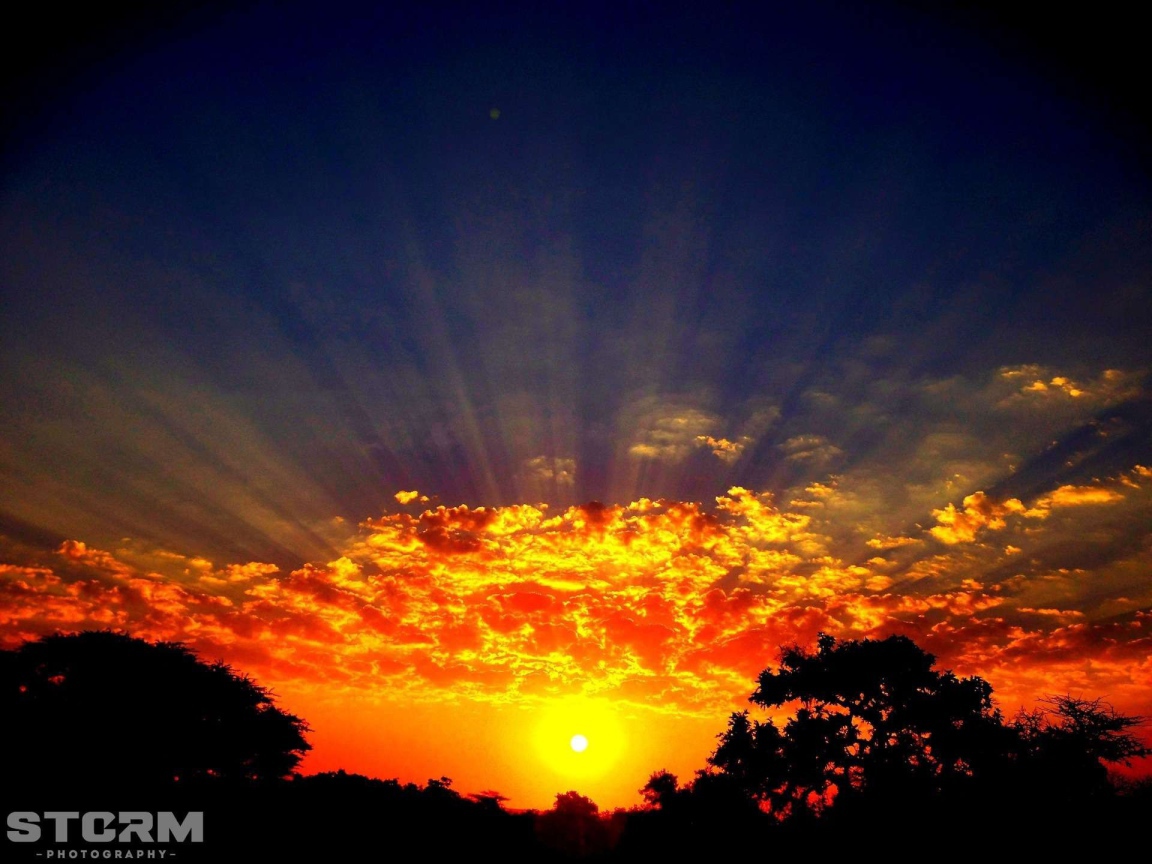 Лучи солнца