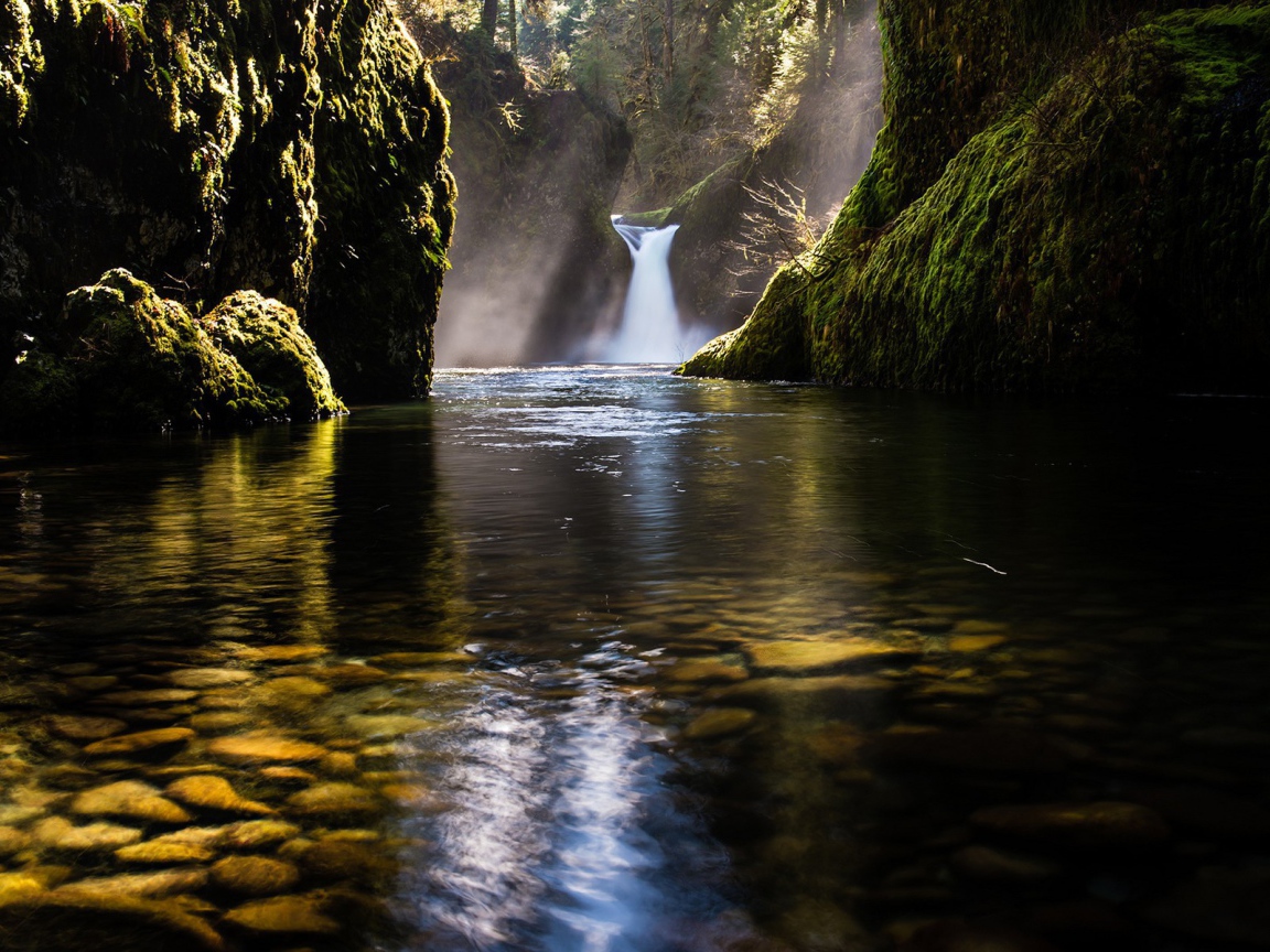 Водопад во мху