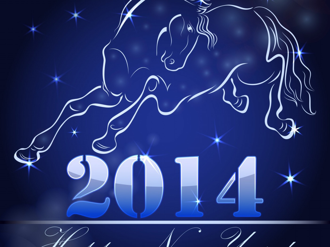 Встреча Нового 2014 Года