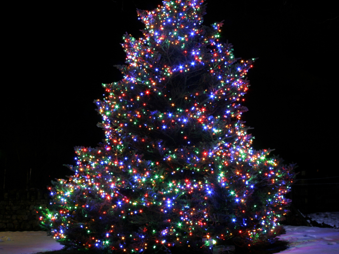 Красочная Новогодняя елка