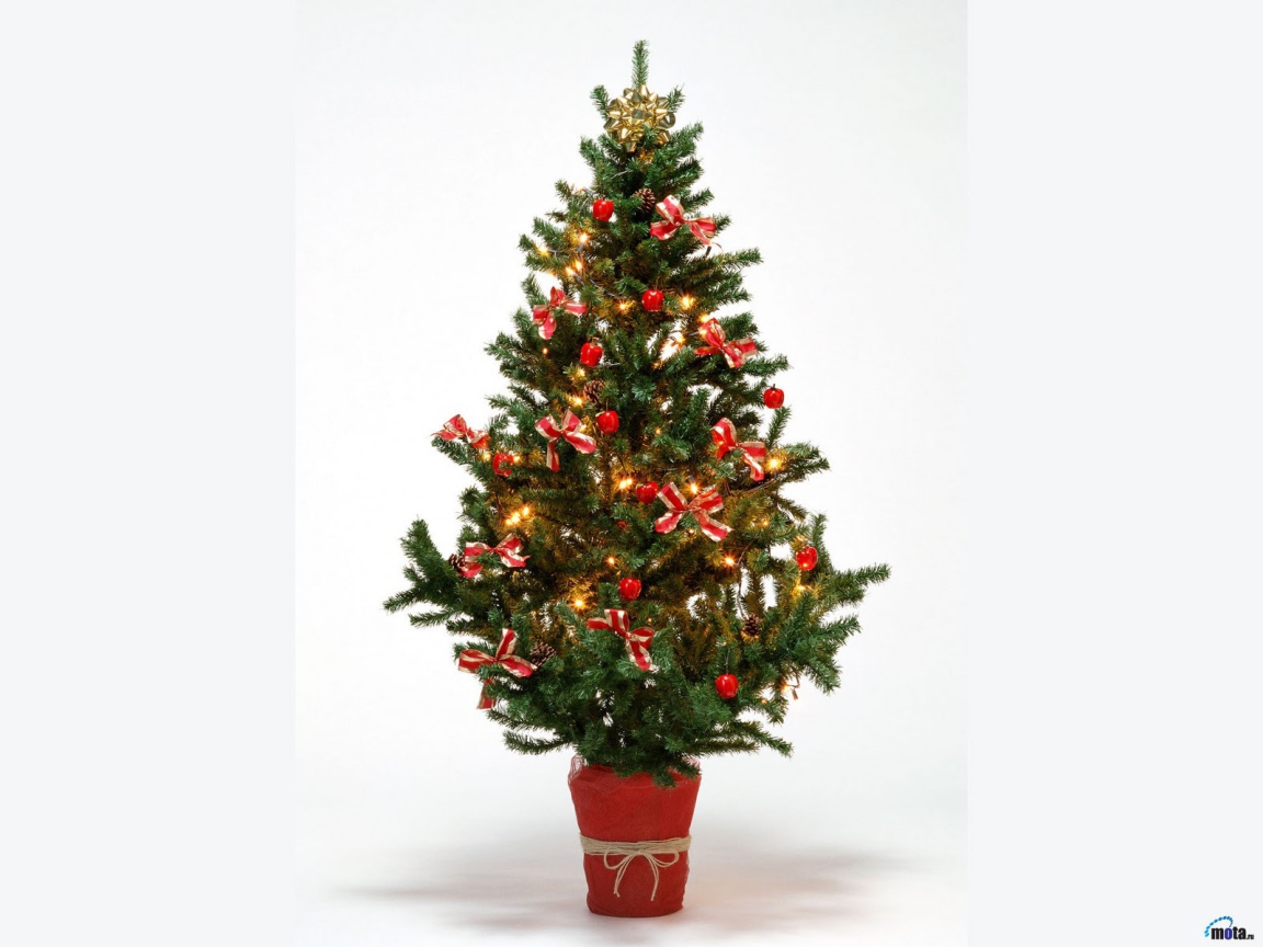 Новогодняя елка 2014 на белом фоне