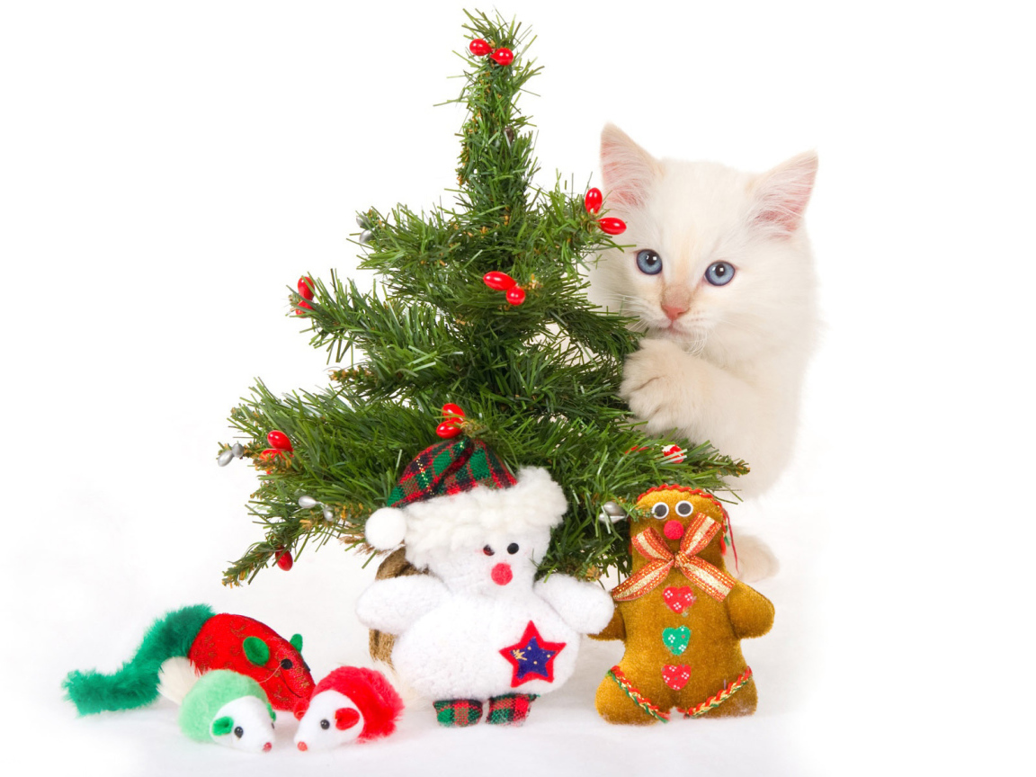 Новогодняя елка и маленький белый кот