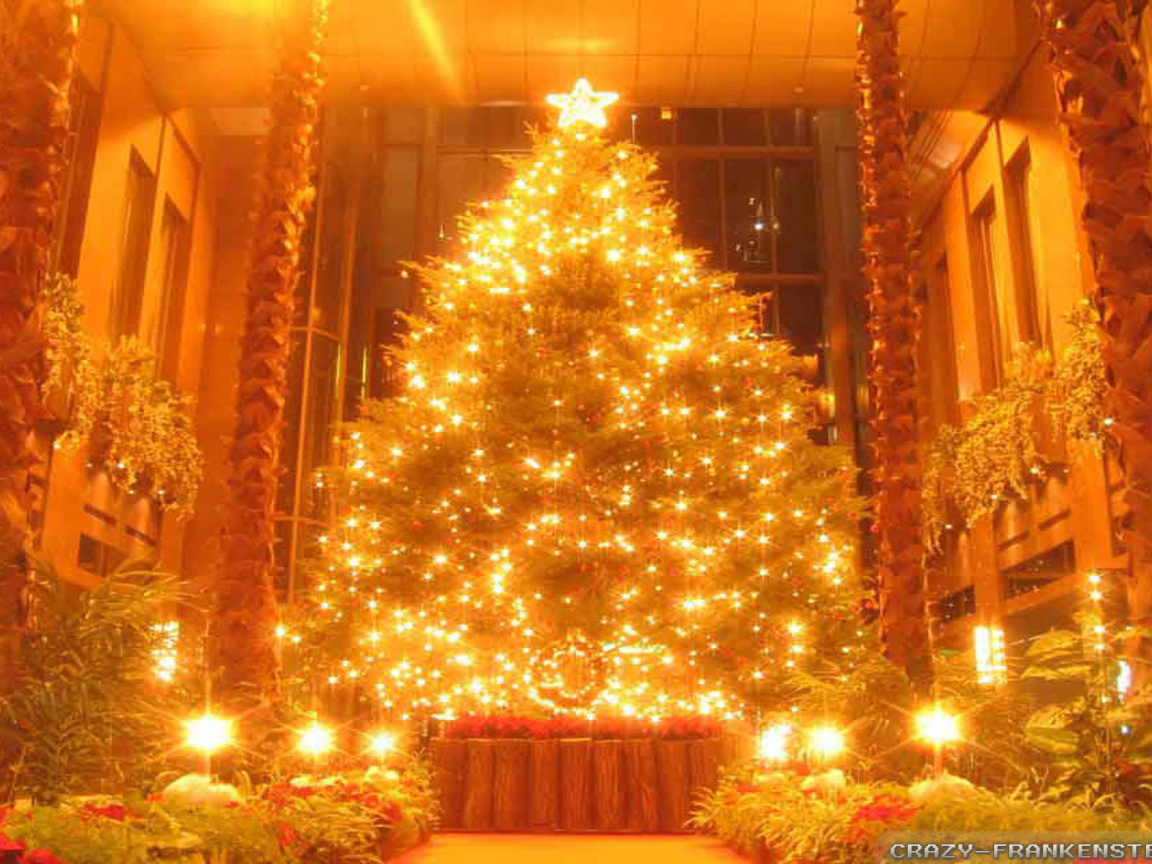 Новогодняя елка в поразительной картине