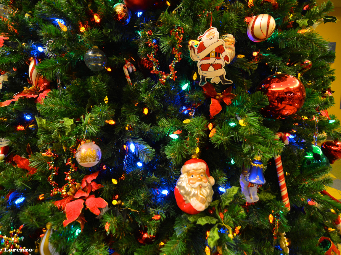 Новогодняя елка с Дедом Морозом