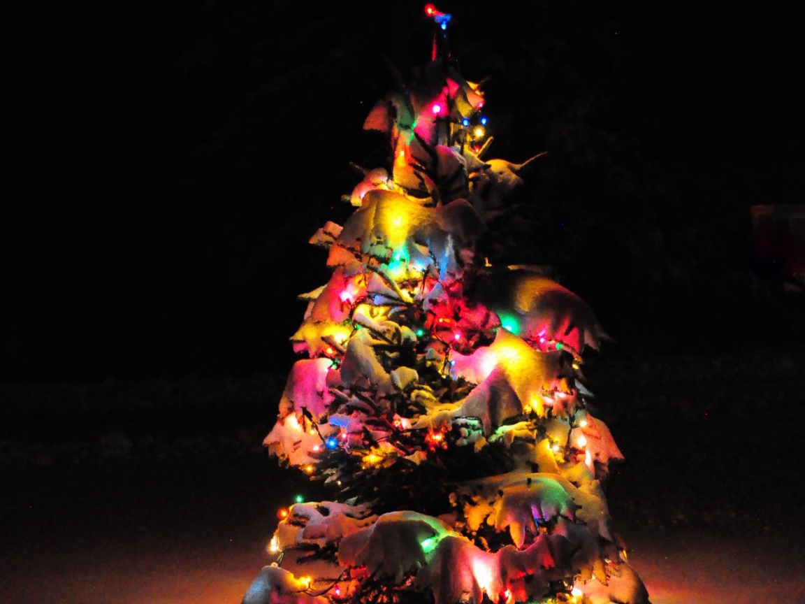 Наша маленькая Новогодняя елка