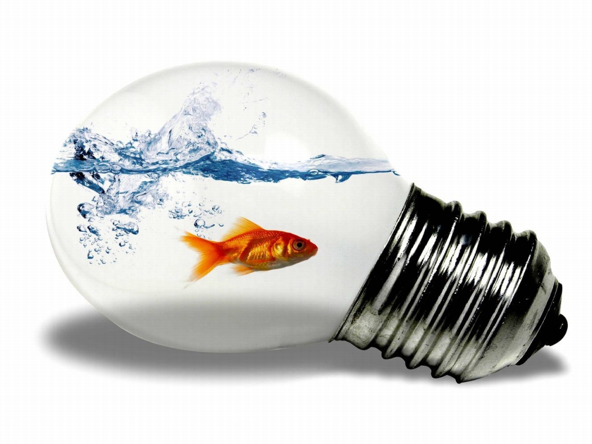 	 Fish in the light bulb