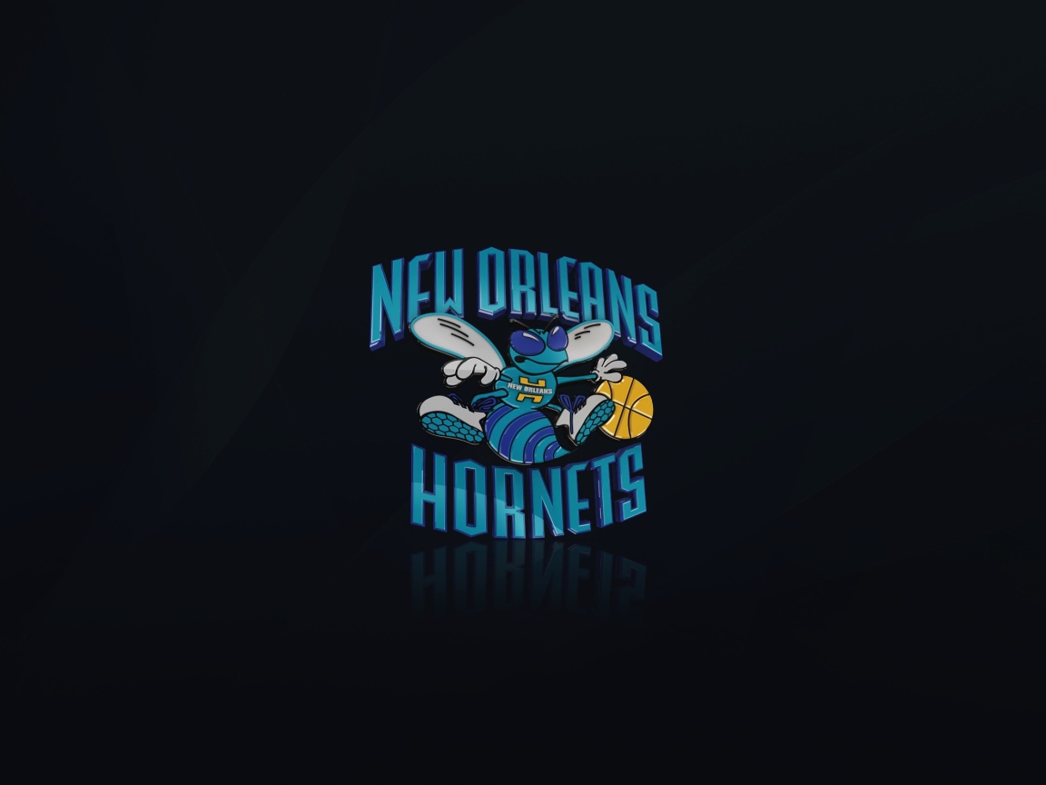 Баскетбольный клуб Нового Орлеана