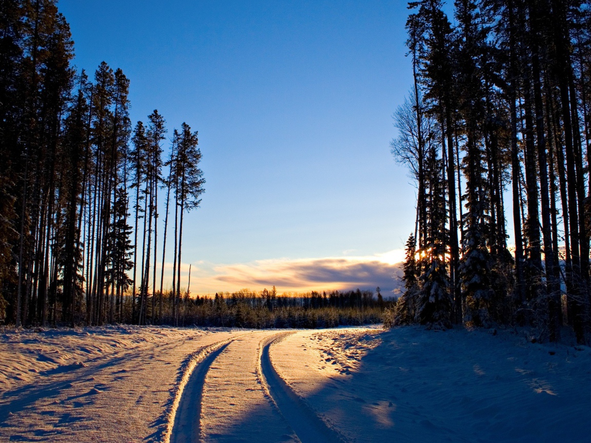 Заснеженная дорога вечером