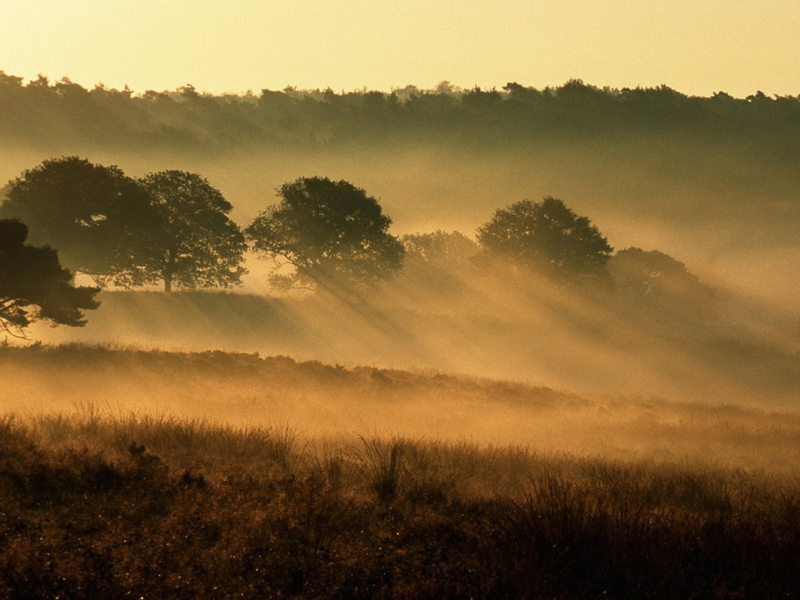 Национальный парк Нидерланды