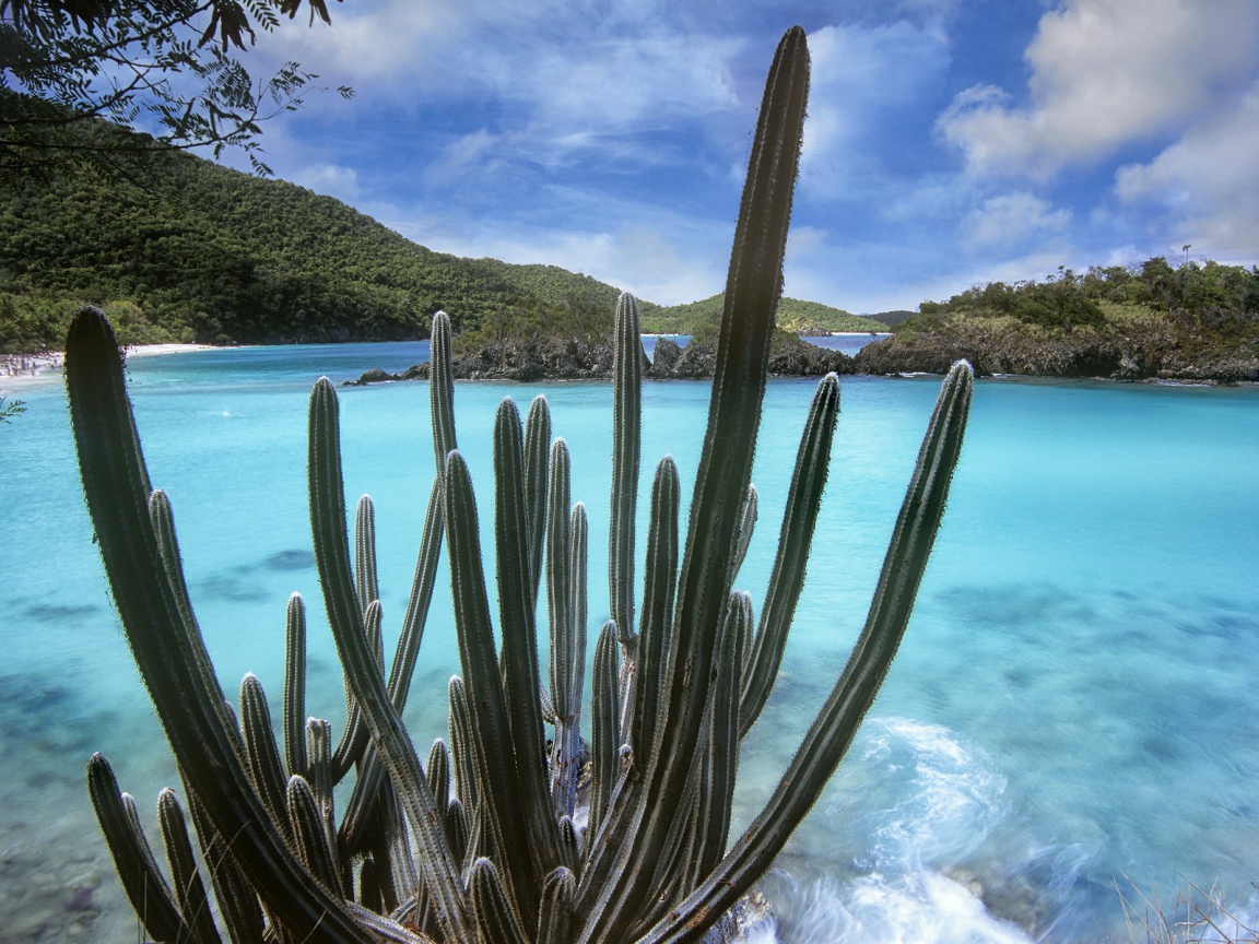 Национальный парк Вирджинии