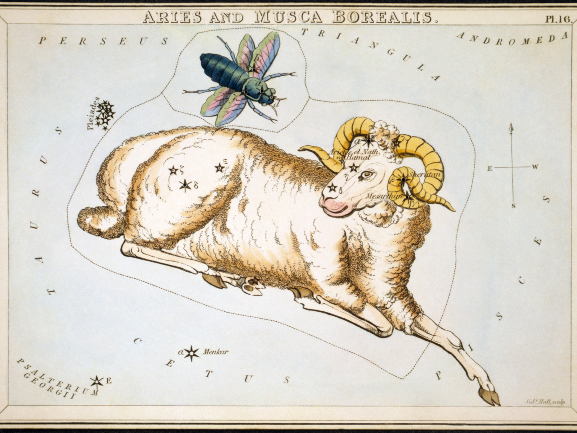 Овен на карте звёздного неба