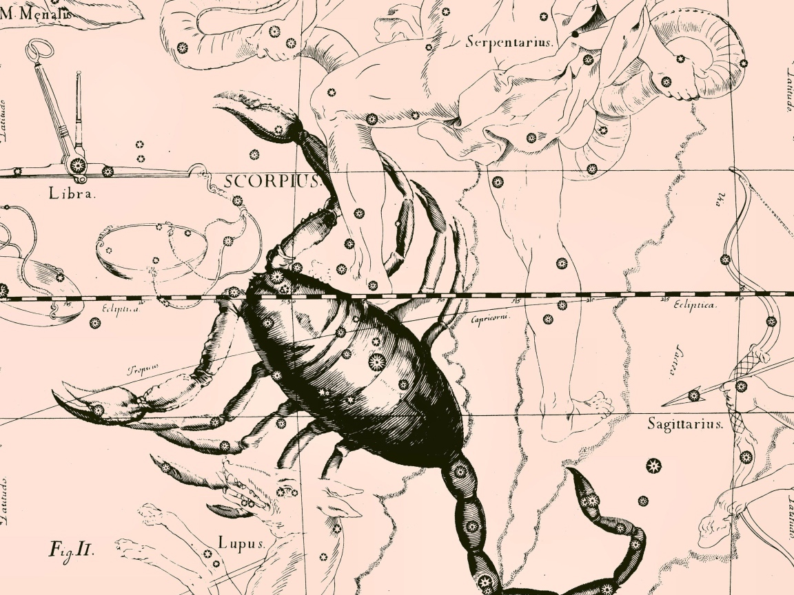 Карта звездного неба, скорпион, розовый цвет