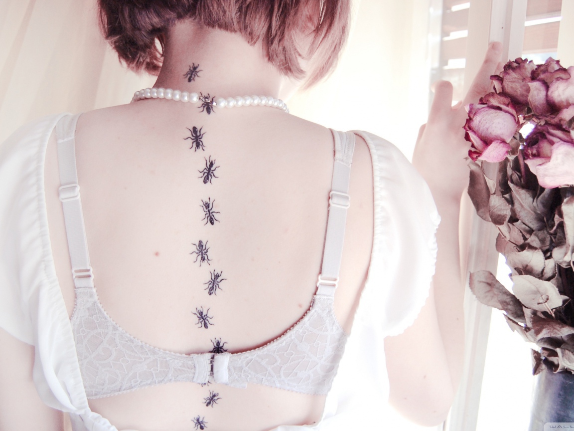 Девушка с татуировкой муравьи на спине