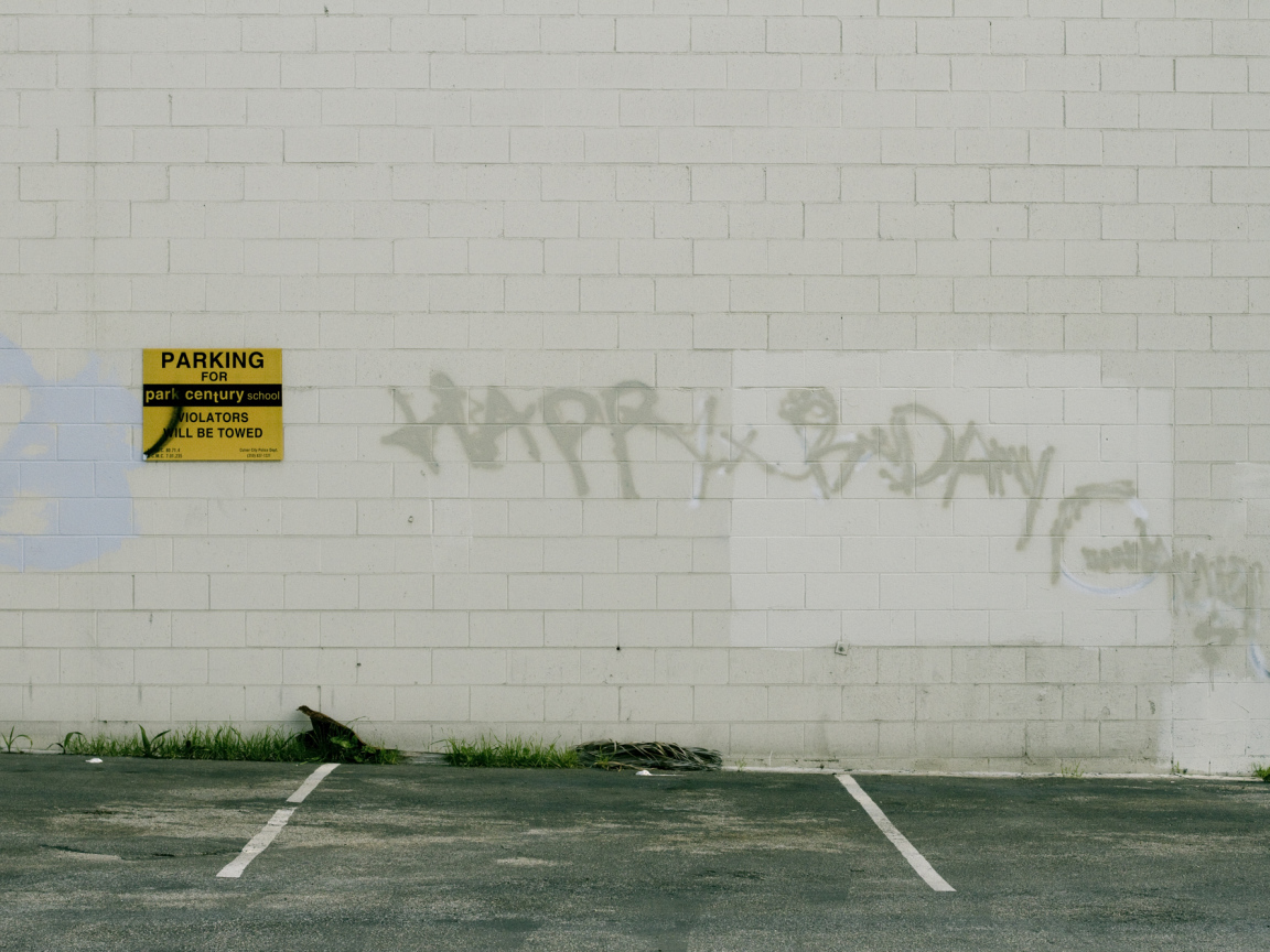 Граффити на белой стене, с днём рождения