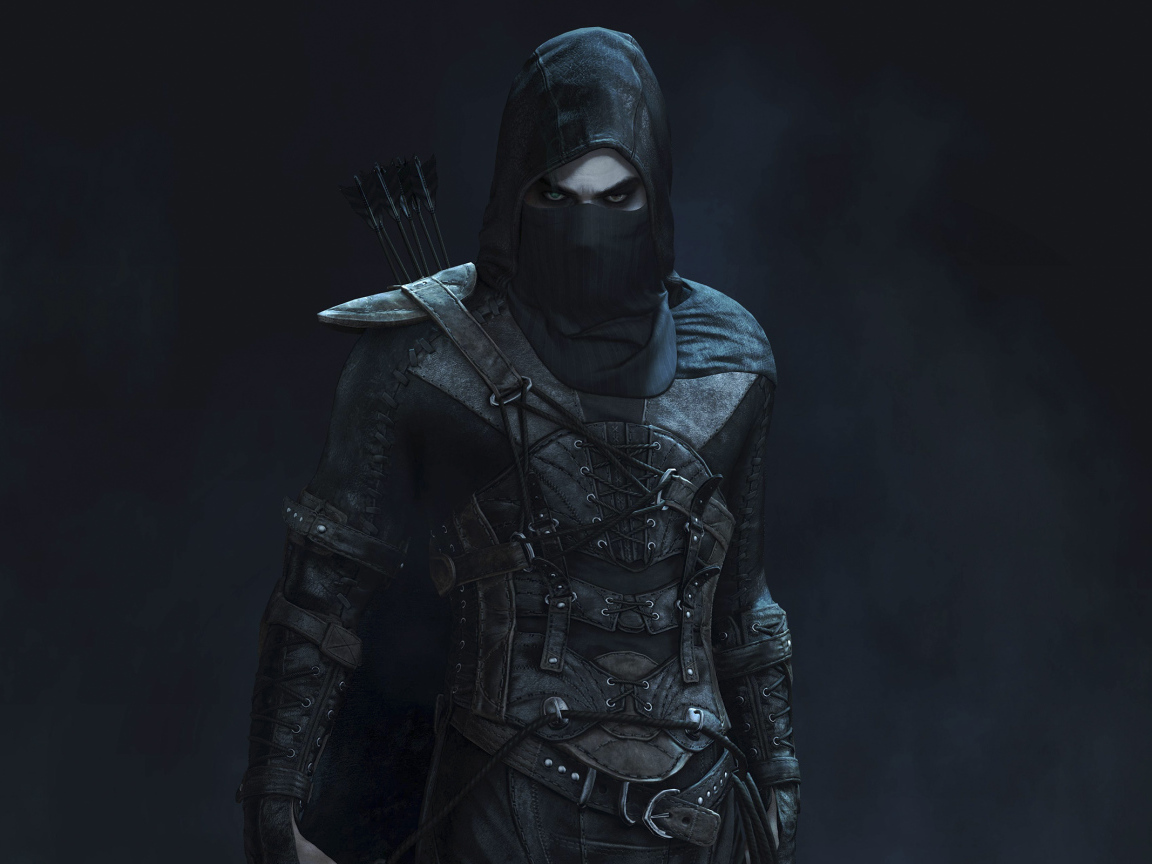 Thief: главный герой