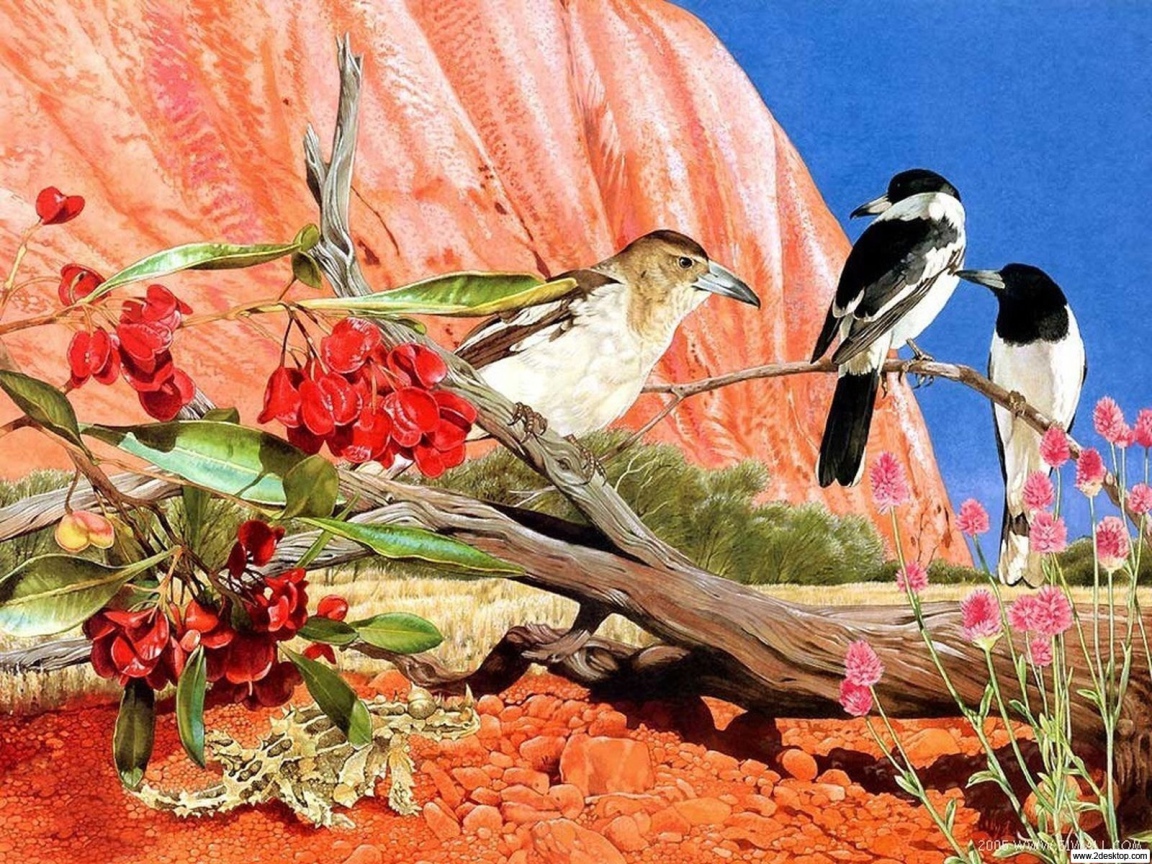 Общение птиц