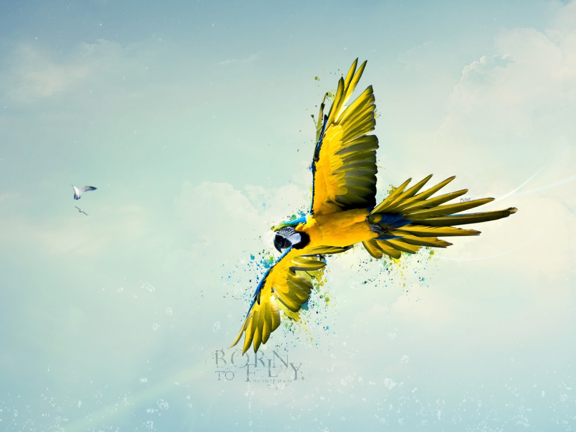 Рождена летать