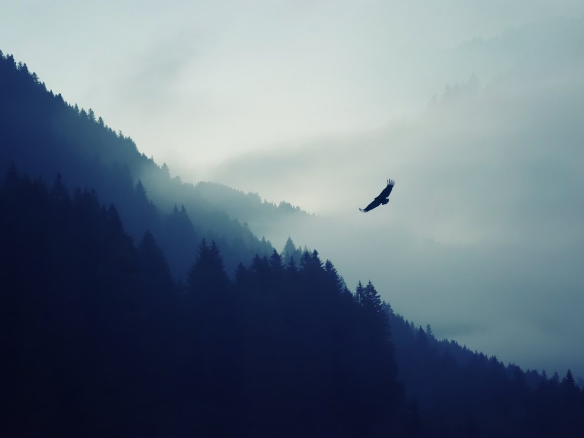 Eagle in the fog on background with mountains